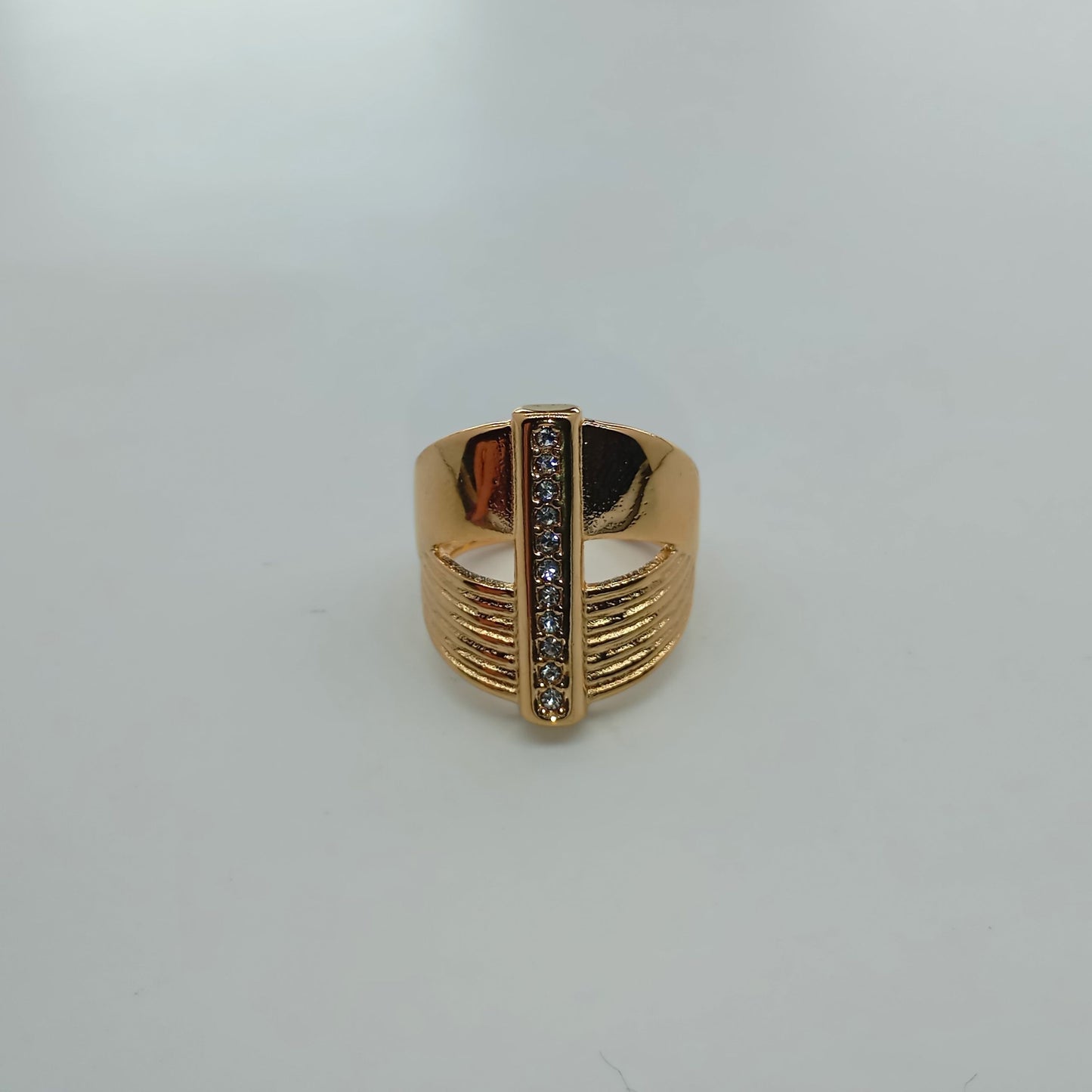 AN202404-1310